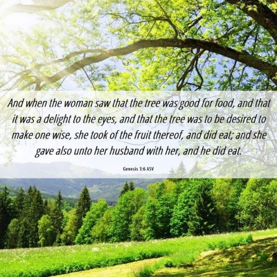 Picture 06 - Genesis 3:6 ASV - And when the woman saw that the tree was good for - Bible Verse Picture