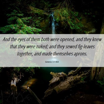 Picture 06 - Genesis 3:7 ASV - And the eyes of them both were opened, and they - Bible Verse Picture