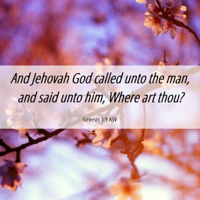 Picture 06 - Genesis 3:9 ASV - And Jehovah God called unto the man, and said - Bible Verse Picture