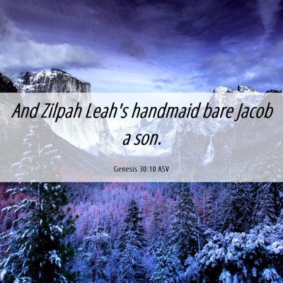 Picture 06 - Genesis 30:10 ASV - And Zilpah Leah's handmaid bare Jacob a - Bible Verse Picture