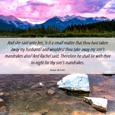 Picture 06 - Genesis 30:15 ASV - And she said unto her, Is it a small matter that - Bible Verse Picture
