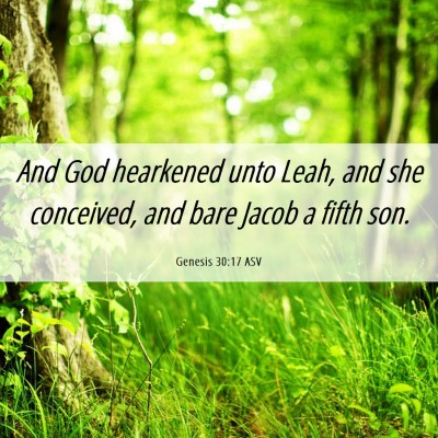 Picture 06 - Genesis 30:17 ASV - And God hearkened unto Leah, and she conceived, - Bible Verse Picture