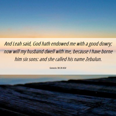 Picture 06 - Genesis 30:20 ASV - And Leah said, God hath endowed me with a good - Bible Verse Picture