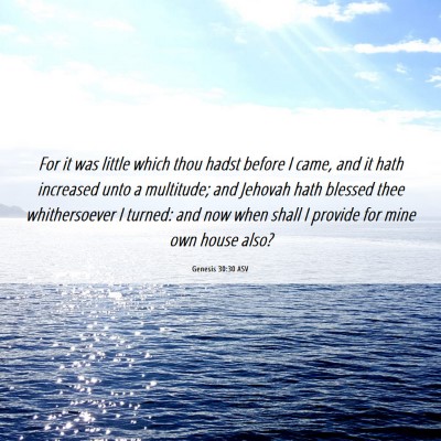 Picture 06 - Genesis 30:30 ASV - For it was little which thou hadst before I came, - Bible Verse Picture