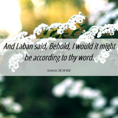 Picture 06 - Genesis 30:34 ASV - And Laban said, Behold, I would it might be - Bible Verse Picture