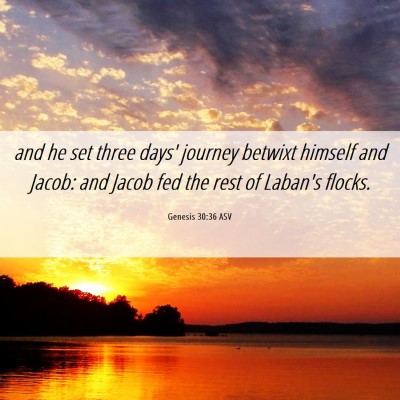 Picture 06 - Genesis 30:36 ASV - and he set three days' journey betwixt himself - Bible Verse Picture