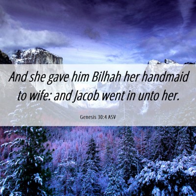 Picture 06 - Genesis 30:4 ASV - And she gave him Bilhah her handmaid to wife: and - Bible Verse Picture