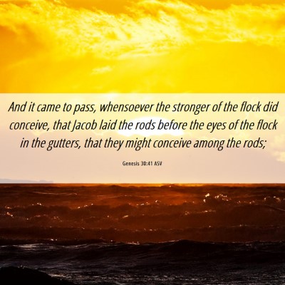 Picture 06 - Genesis 30:41 ASV - And it came to pass, whensoever the stronger of - Bible Verse Picture