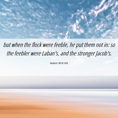 Picture 06 - Genesis 30:42 ASV - but when the flock were feeble, he put them not - Bible Verse Picture