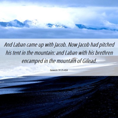 Picture 06 - Genesis 31:25 ASV - And Laban came up with Jacob. Now Jacob had - Bible Verse Picture