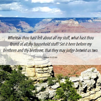 Picture 06 - Genesis 31:37 ASV - Whereas thou hast felt about all my stuff, what - Bible Verse Picture