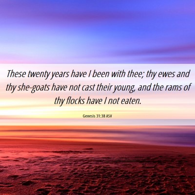 Picture 06 - Genesis 31:38 ASV - These twenty years have I been with thee; thy - Bible Verse Picture