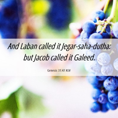 Picture 06 - Genesis 31:47 ASV - And Laban called it Jegar-saha-dutha: but Jacob - Bible Verse Picture