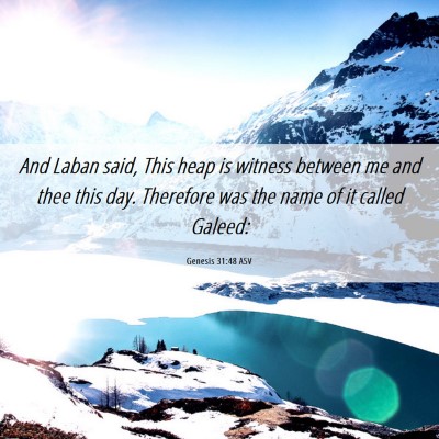 Picture 06 - Genesis 31:48 ASV - And Laban said, This heap is witness between me - Bible Verse Picture