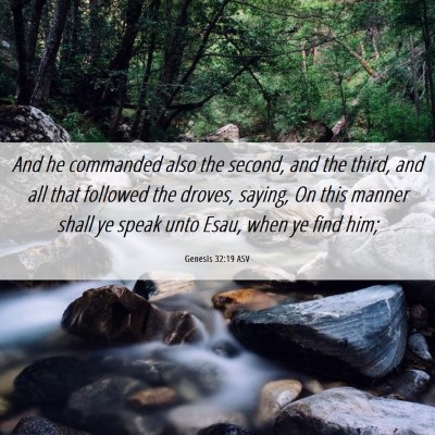 Picture 06 - Genesis 32:19 ASV - And he commanded also the second, and the third, - Bible Verse Picture