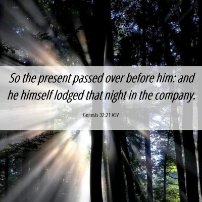 Picture 06 - Genesis 32:21 ASV - So the present passed over before him: and he - Bible Verse Picture