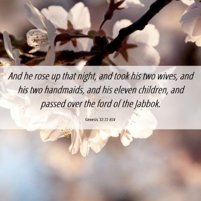 Picture 06 - Genesis 32:22 ASV - And he rose up that night, and took his two - Bible Verse Picture
