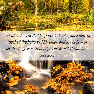 Picture 06 - Genesis 32:25 ASV - And when he saw that he prevailed not against - Bible Verse Picture