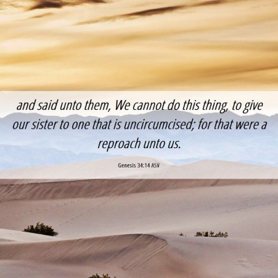 Picture 06 - Genesis 34:14 ASV - and said unto them, We cannot do this thing, to - Bible Verse Picture