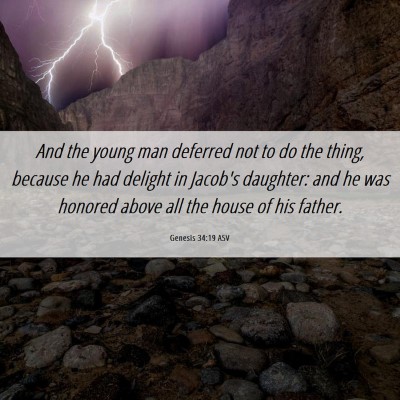 Picture 06 - Genesis 34:19 ASV - And the young man deferred not to do the thing, - Bible Verse Picture