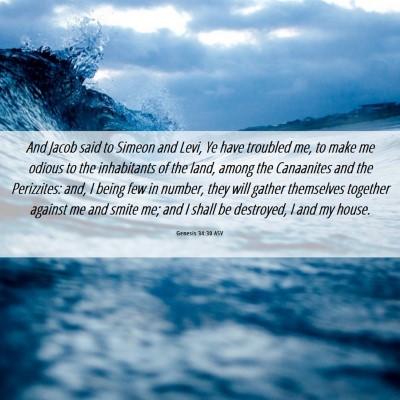 Picture 06 - Genesis 34:30 ASV - And Jacob said to Simeon and Levi, Ye have - Bible Verse Picture