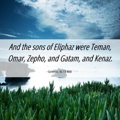 Picture 06 - Genesis 36:11 ASV - And the sons of Eliphaz were Teman, Omar, Zepho, - Bible Verse Picture