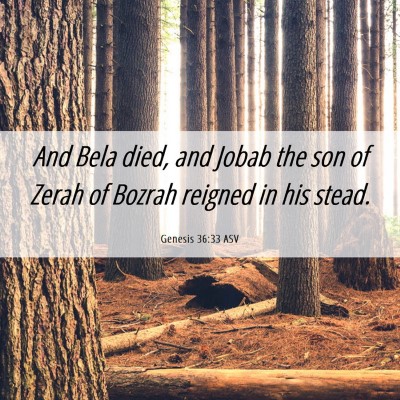 Picture 06 - Genesis 36:33 ASV - And Bela died, and Jobab the son of Zerah of - Bible Verse Picture