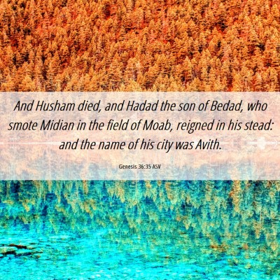 Picture 06 - Genesis 36:35 ASV - And Husham died, and Hadad the son of Bedad, who - Bible Verse Picture