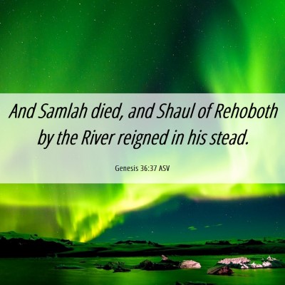 Picture 06 - Genesis 36:37 ASV - And Samlah died, and Shaul of Rehoboth by the - Bible Verse Picture