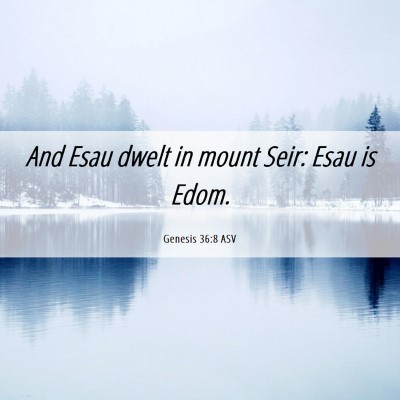 Picture 06 - Genesis 36:8 ASV - And Esau dwelt in mount Seir: Esau is - Bible Verse Picture