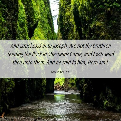 Picture 06 - Genesis 37:13 ASV - And Israel said unto Joseph, Are not thy brethren - Bible Verse Picture