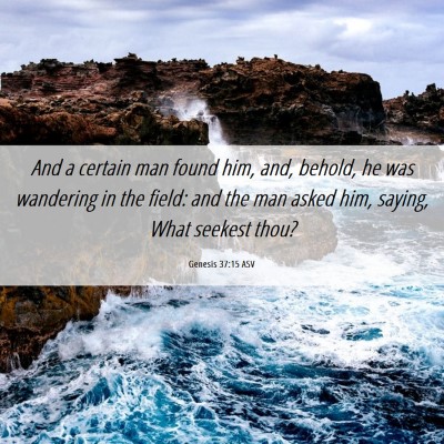 Picture 06 - Genesis 37:15 ASV - And a certain man found him, and, behold, he was - Bible Verse Picture