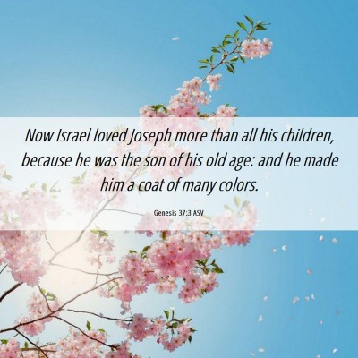 Picture 06 - Genesis 37:3 ASV - Now Israel loved Joseph more than all his - Bible Verse Picture