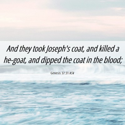 Picture 06 - Genesis 37:31 ASV - And they took Joseph's coat, and killed a - Bible Verse Picture