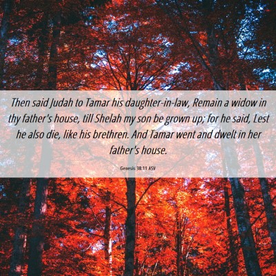 Picture 06 - Genesis 38:11 ASV - Then said Judah to Tamar his daughter-in-law, - Bible Verse Picture