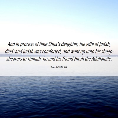 Picture 06 - Genesis 38:12 ASV - And in process of time Shua's daughter, the wife - Bible Verse Picture