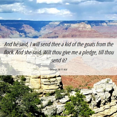 Picture 06 - Genesis 38:17 ASV - And he said, I will send thee a kid of the goats - Bible Verse Picture
