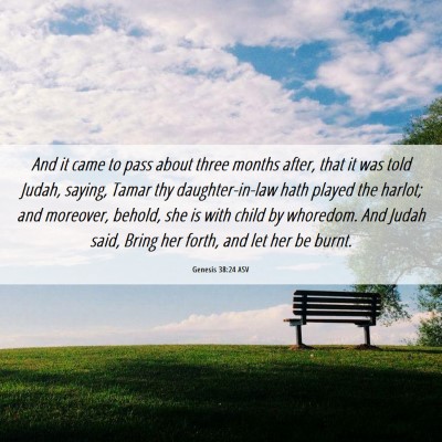 Picture 06 - Genesis 38:24 ASV - And it came to pass about three months after, - Bible Verse Picture