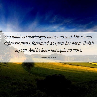 Picture 06 - Genesis 38:26 ASV - And Judah acknowledged them, and said, She is - Bible Verse Picture