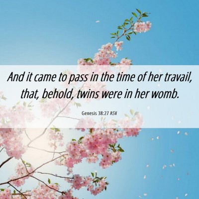 Picture 06 - Genesis 38:27 ASV - And it came to pass in the time of her travail, - Bible Verse Picture