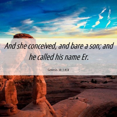 Picture 06 - Genesis 38:3 ASV - And she conceived, and bare a son; and he called - Bible Verse Picture