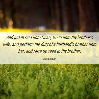 Picture 06 - Genesis 38:8 ASV - And Judah said unto Onan, Go in unto thy - Bible Verse Picture