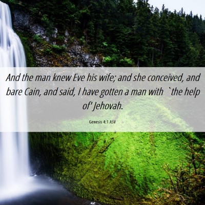 Picture 06 - Genesis 4:1 ASV - And the man knew Eve his wife; and she conceived, - Bible Verse Picture