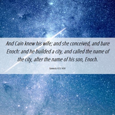 Picture 06 - Genesis 4:17 ASV - And Cain knew his wife; and she conceived, and - Bible Verse Picture