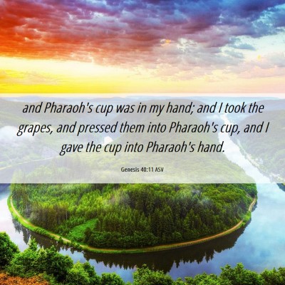 Picture 06 - Genesis 40:11 ASV - and Pharaoh's cup was in my hand; and I took the - Bible Verse Picture