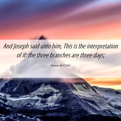 Picture 06 - Genesis 40:12 ASV - And Joseph said unto him, This is the - Bible Verse Picture