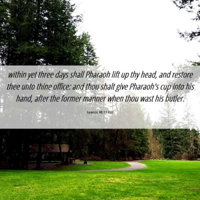 Picture 06 - Genesis 40:13 ASV - within yet three days shall Pharaoh lift up thy - Bible Verse Picture