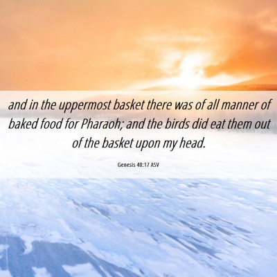 Picture 06 - Genesis 40:17 ASV - and in the uppermost basket there was of all - Bible Verse Picture