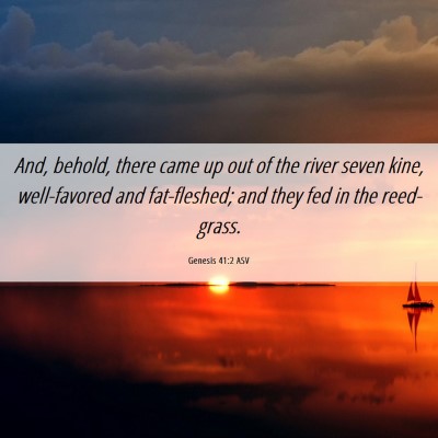 Picture 06 - Genesis 41:2 ASV - And, behold, there came up out of the river seven - Bible Verse Picture
