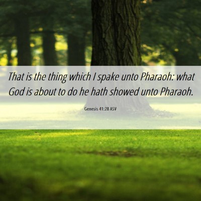 Picture 06 - Genesis 41:28 ASV - That is the thing which I spake unto Pharaoh: - Bible Verse Picture